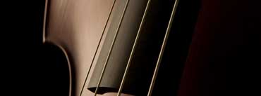 Double Bass Strings Cover Photo