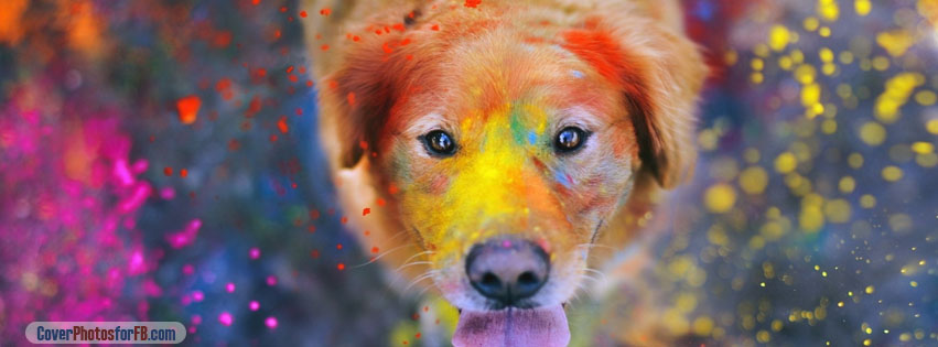 Colorful Dog Painting Cover Photo