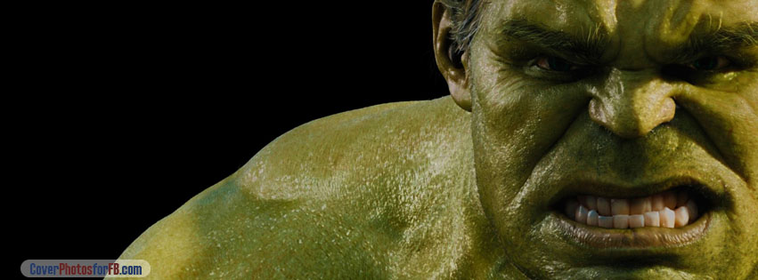 Hulk The Avengers Movie Cover Photo