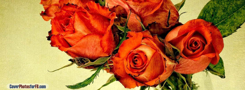 Beautiful Roses Cover Photo