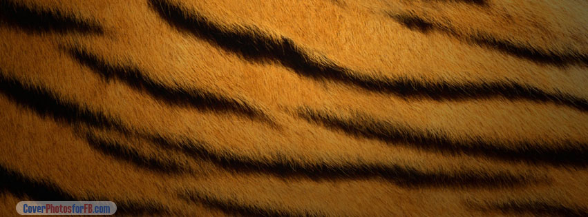 Tiger Fur Cover Photo