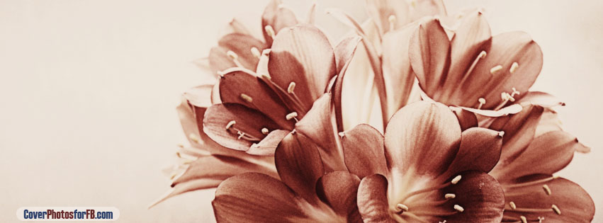 Vintage Flowers Cover Photo