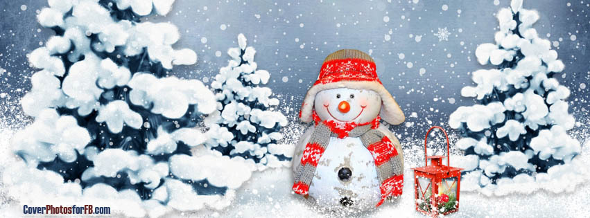 Funny Snowman Cover Photo