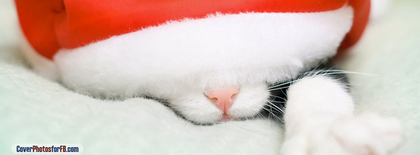 Santa Cat Cover Photo