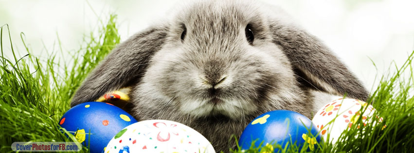 Easter Bunny Cover Photo
