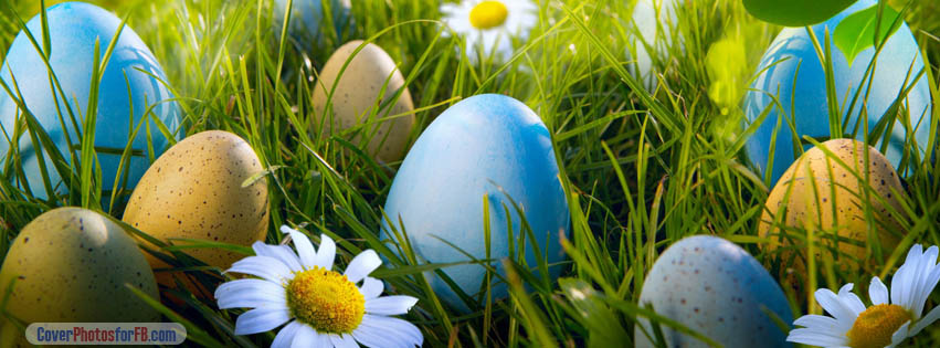 Easter Egg Hunt Cover Photo