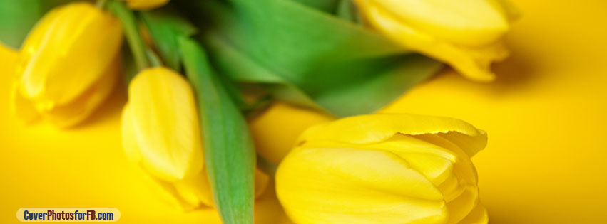 Easter Flowers Cover Photo