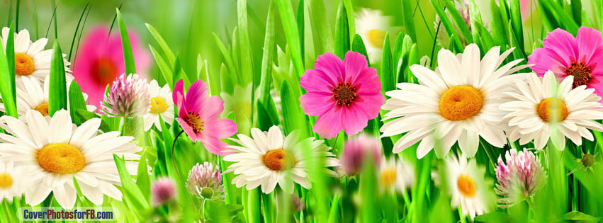 Colorful Easter Flowers Cover Photo