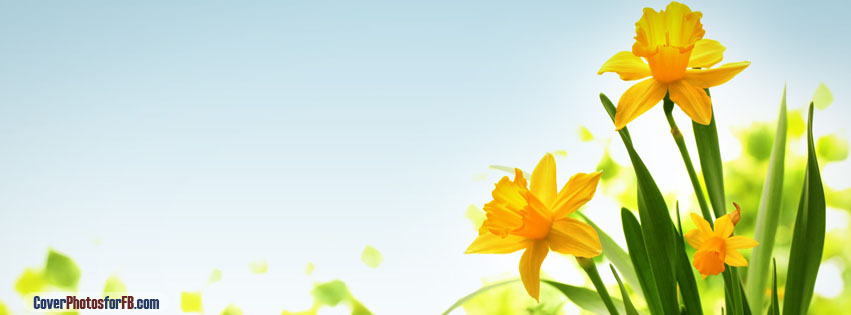 Happy Easter Yellow Flower Cover Photo