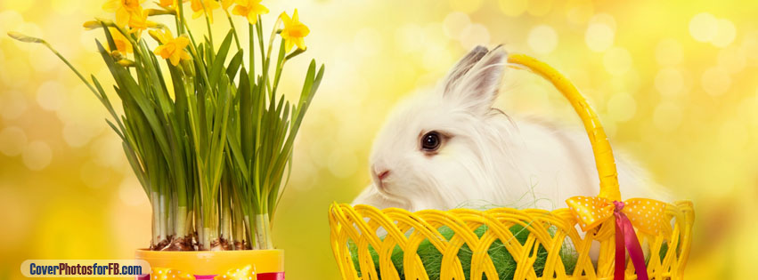 Happy Easter Bunny Cover Photo