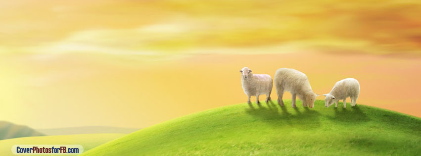 Sheeps Spring Hill Cover Photo