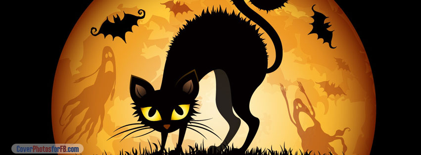 Halloween Cat And Bats Cover Photo