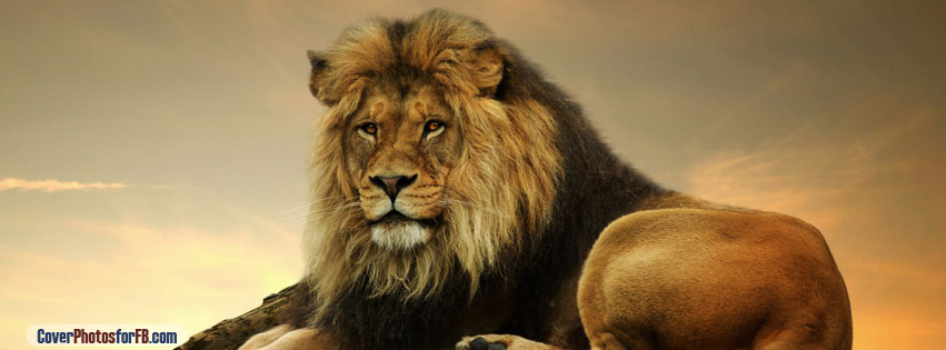 Big Lion On Rock Cover Photo