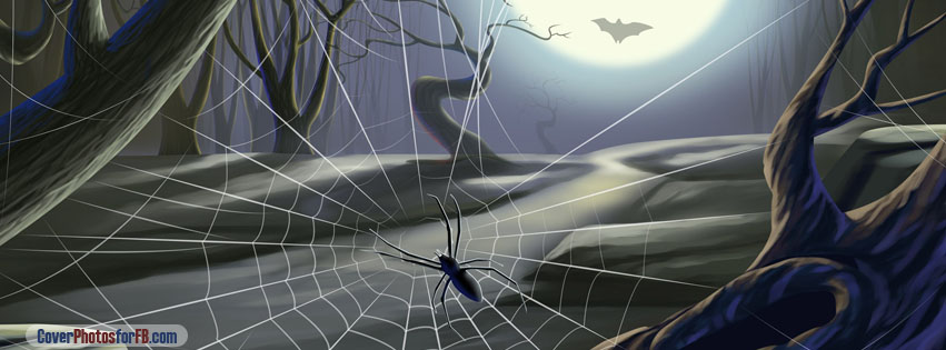 Spider Web Full Moon Cover Photo