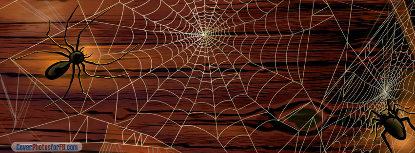 Spider Webs Cover Photo