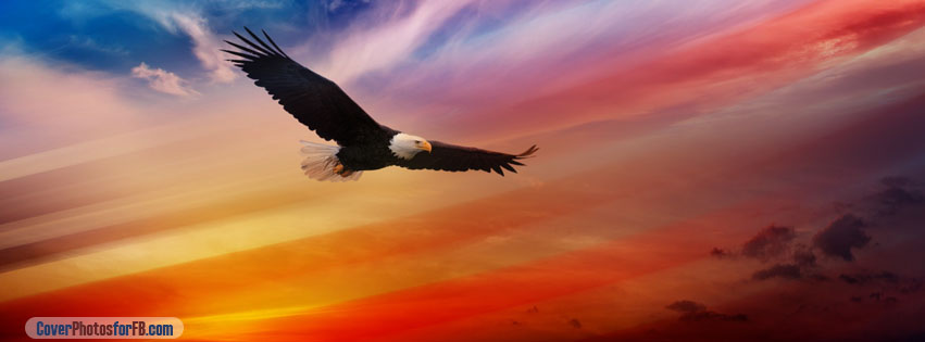 Happy 4th Of July Screamming Eagle Cover Photo