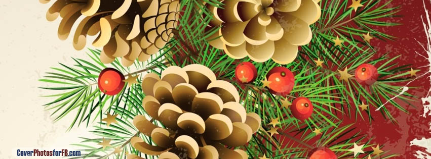 Pine Cones Cover Photo