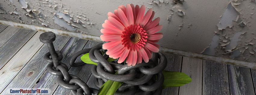 Flower With Chain Cover Photo