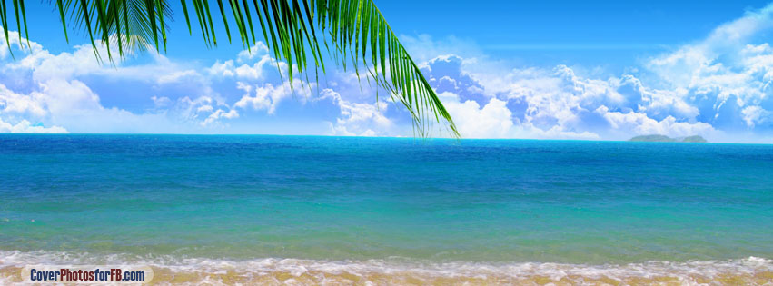 Palm Branch Ocean Cover Photo