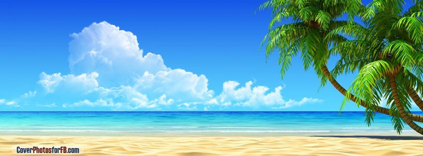 Palm Trees Blue Sky Cover Photo