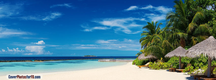 Palm Trees On Ocean Coast Cover Photo