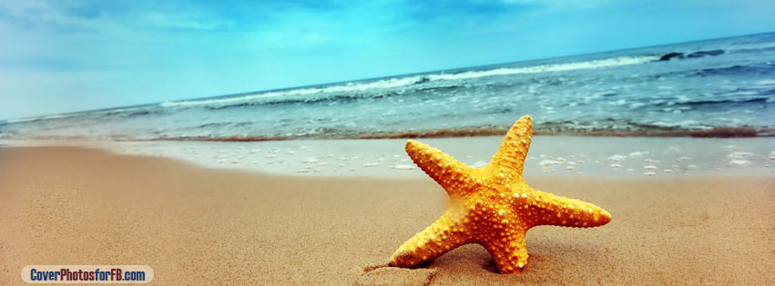 Starfish On The Beach Cover Photo