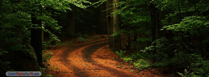 Beautiful Forest Path Cover Photo