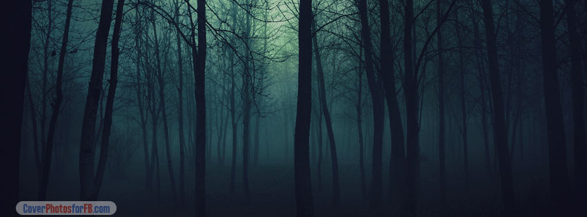 Dark Forest Cover Photo