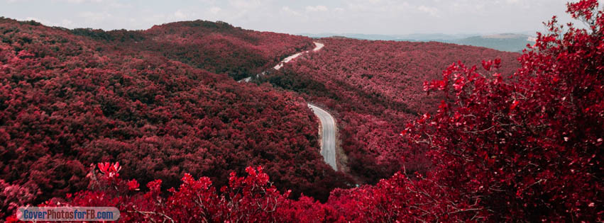 Forest Road Autumn Trees Cover Photo