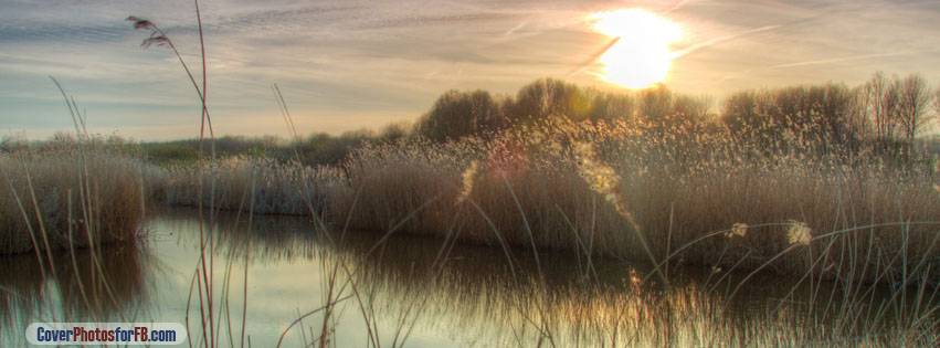 Sunset At Bieslandse Forest Cover Photo