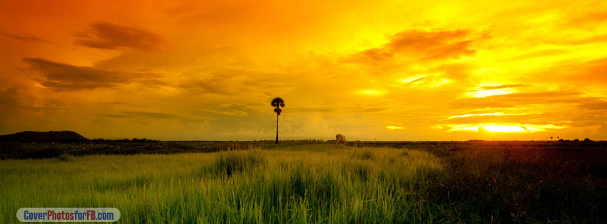 Beautiful Yellow Sunset Cover Photo