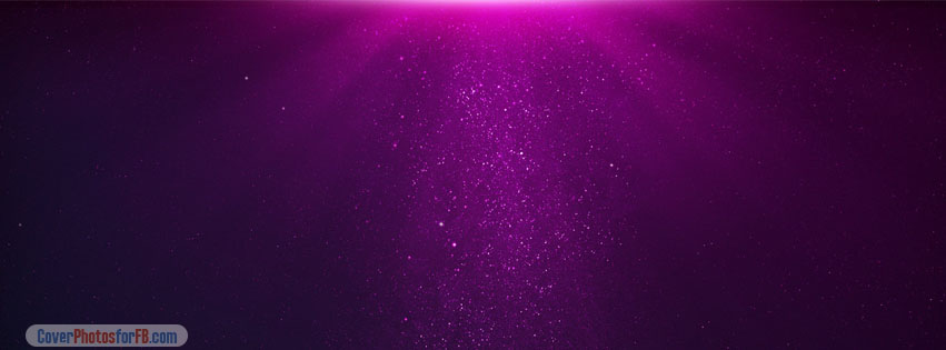 Fuchsia Light Cover Photo