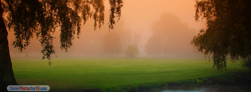 Park Morning Fog Cover Photo