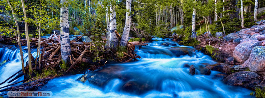 Forest Birch Stream Long Exposure Cover Photo