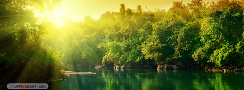 Lush Green Forest River At Sunrise Cover Photo