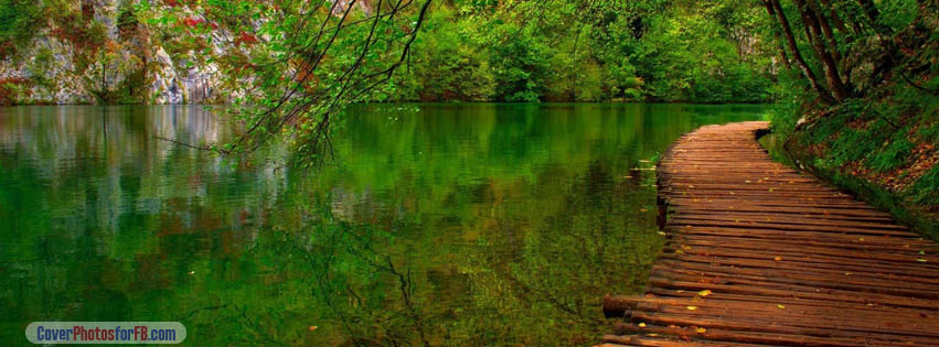 Nature River Wooden Path Cover Photo