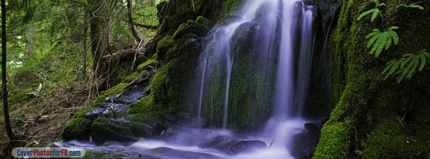 Beautiful Forest Waterfall Cover Photo