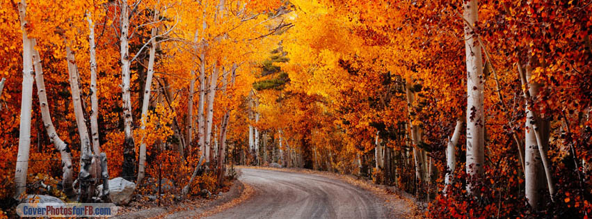 California Autumn Cover Photo