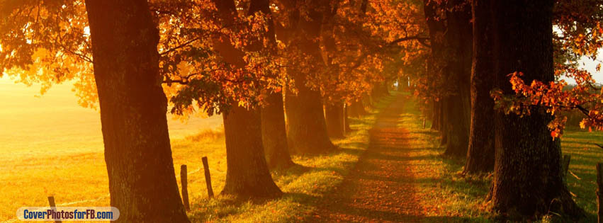 Autumn Walk Path Cover Photo