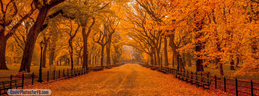 Beautiful Autumn Landscape Cover Photo