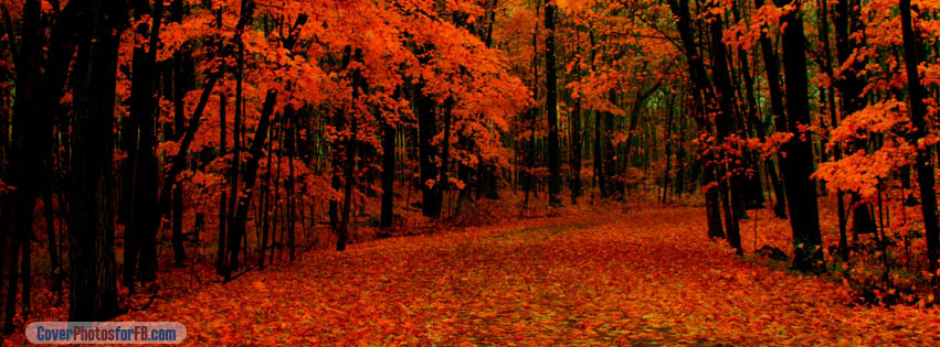 Fall Red Path Cover Photo
