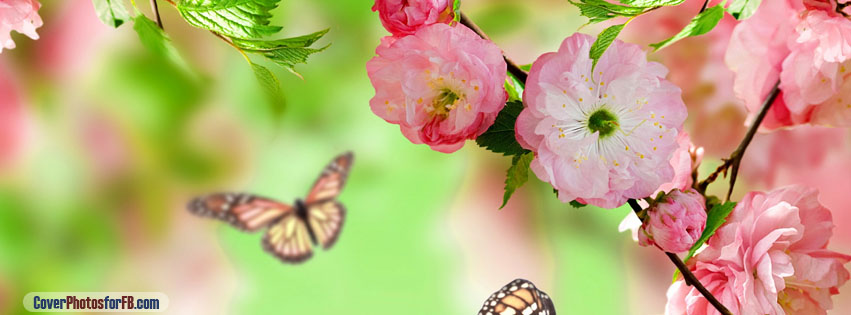 Springtime Joy Cover Photo