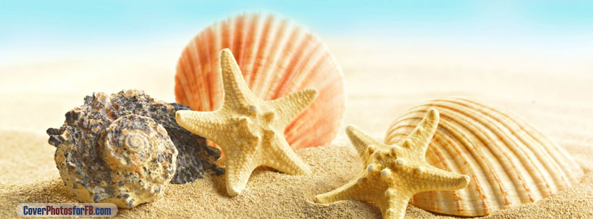 Seashells And Stars Cover Photo