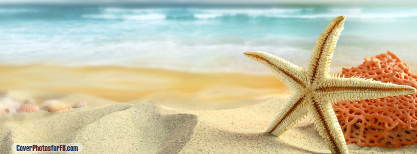 Starfish On The Beach Cover Photo