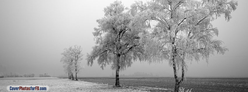 Frozen Trees Cover Photo