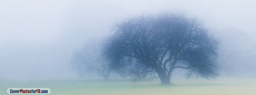 November Fog Cover Photo