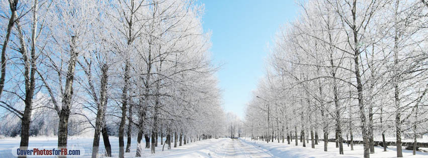 Road Covered With Snow Cover Photo