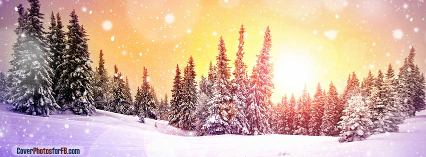 Snowing Sunset Cover Photo