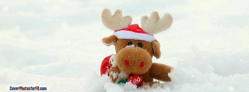 Toy Moose Cover Photo