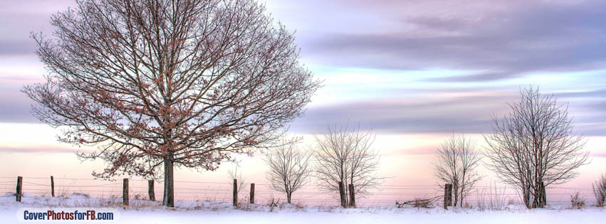 Trees And Fence Winter Cover Photo